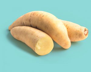 White Sweet Potato